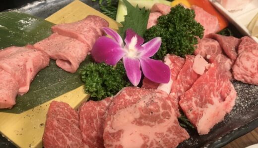 【自宅焼肉したい人必見！】最高の肉、どこで買う？